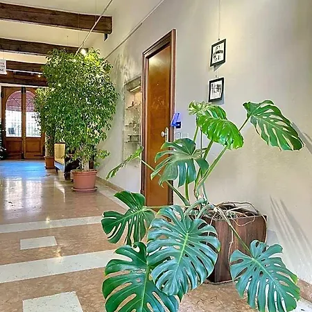 Alkimia Smart Ferrara